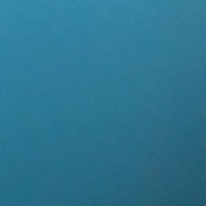 Meet your Posher, Elvira